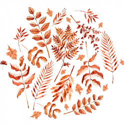 Papier Peint Aquarelle Autumnale