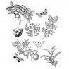 Papier Peint Lithographie Papilionem